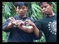Presentation of the DVD Pamacan Vol 2