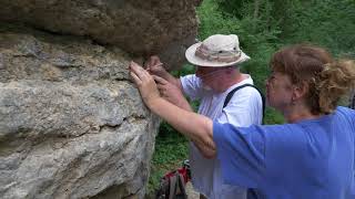 Rosomacki lonci - Stara planina