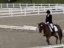 CO Horse Park 07 - Dressage CO Horse Park 07 - Dressage