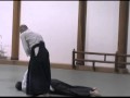 Mike Fliss aikido nidan test