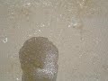WATER KISS WATER KISS