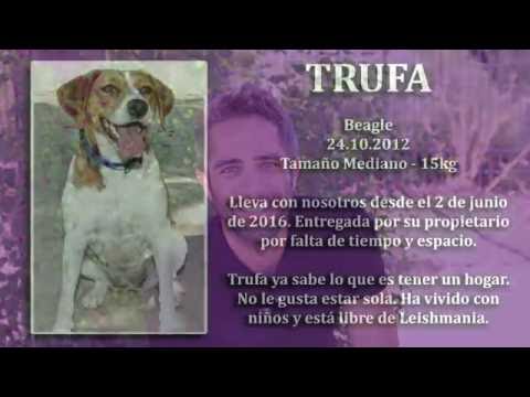 Imagen de previsualización de YouTube