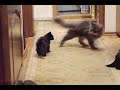 Little Bastard 2: Pure Evil (Маленькое Зло)