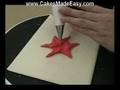 Cake Decorating - Christmas Poinsettia Flower