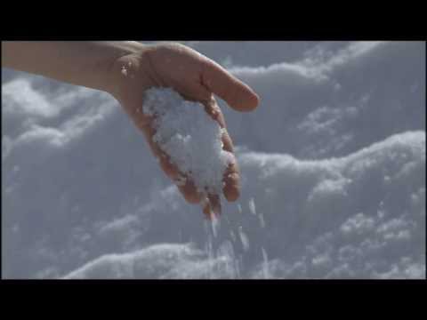 how to harvest your own sea salt