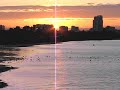 Cat Stevens - Morning Has Broken