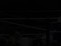 peter aerts best kick