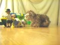 When Webkinz Attack
