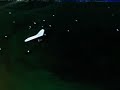 ppg motor on a hang glider