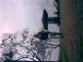 videos de Ejder baba-masal sevda
