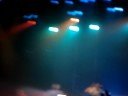 mcfly live in rio - por louise quintella