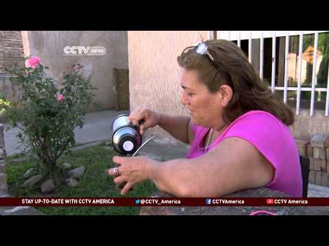 how to eliminate gmo