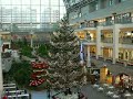 Christmas Illumination