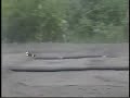 A lap with my GS Storm buggy