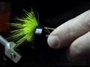 Bass Bug