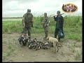Ver vídeo