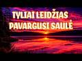 Tyliai leidžias