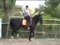 Yeguada Clasica Enak Video Septiembre 07 Yeguada Clasica Enak Video Septiembre 07