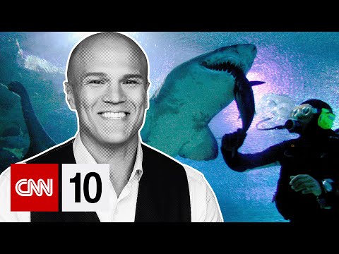 The courageous fight to save Albania's endangered sharks | November 4, 2025