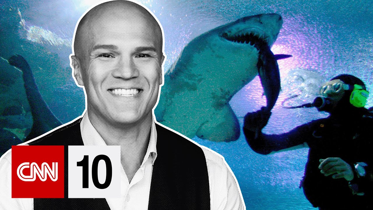 The courageous fight to save Albania's endangered sharks | November 4, 2025