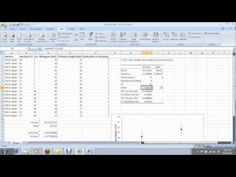 how to use t test in excel 2007