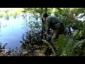 Wildlife Reflections 2009 Nature Walks with Mark Fraser