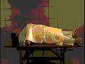 Structural Functionalism - Altuistic Suicide