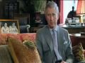 Green Frog and Prince Charles - Save the Rainforest Campaign