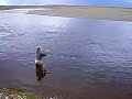 Double Spey - Rio Gallegos