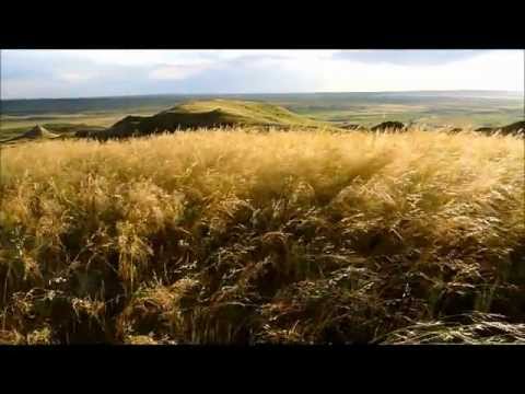 Grasslands National Park, Saskatchewan, July25, 2011