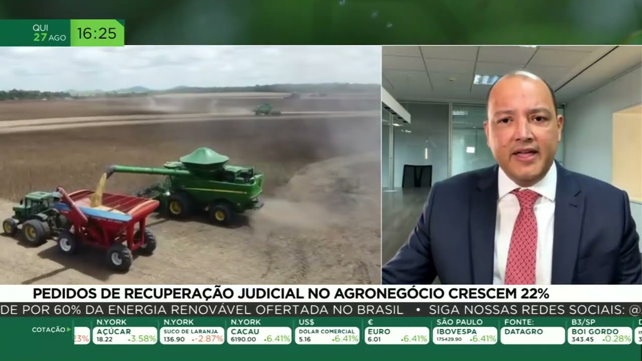 Pedidos de recuperação judicial no agronegócio crescem 22%