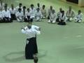 David Halprin - ukashi goshi