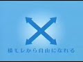 P&Gが凄いモノを作った!!その名も「ウィスパー多い日安心スリム」!!日本初の「Xウィング」で横モレをブロック!!色んなモノをブロックできそう!?This napkin named 