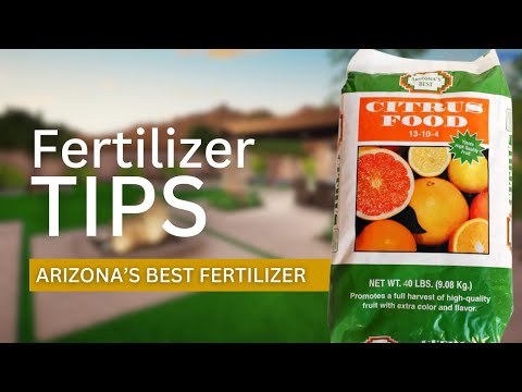 how to fertilize cucumbers