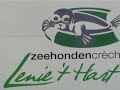 Pieterburen - Zeehonden Creche ( Seal Resque ) Clip