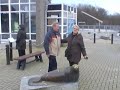 Pieterburen - Zeehonden Creche ( Seal Resque ) Clip