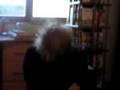 videos de tutur