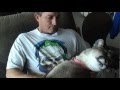 Sweet Pet Cougar