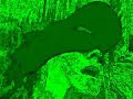Tim Ransom video 2