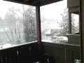 First Legit Snow I Have Seen In Years! Quick Vid.