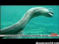 Prehistoric Shark in Japan