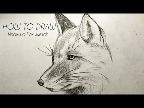 video-linktoworks-How to draw a realistic Fox animal face sketch...