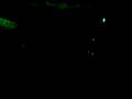 videos de mgl @ SMOG #3