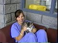 Welcome to Veterinary Technology Welcome to Veterinary Technology