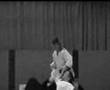 DMU Aikido Gentle not Mental