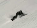 Snowboarding Last Season