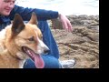 Jack and his buddy at Bermagui