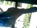 Cancher sul bus....