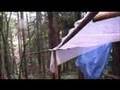 Bear Mountain Treesit Camp Life