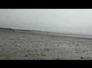 Tide pickin Tide pickin